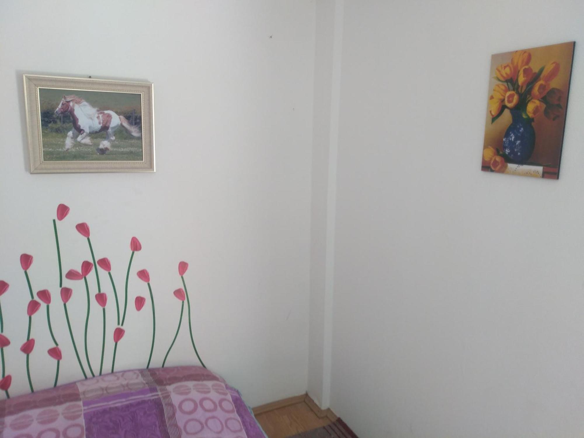 דונג'י מלינובאץ' Hostel Trajan מראה חיצוני תמונה